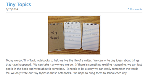 Screenshot of Tiny Topics blog post