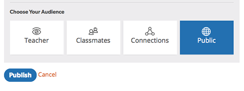 Graphic reading "Choose Your Audience" with options for teacher, classmates, connections or public.