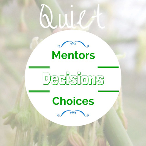 Graphic with the words Mentors, Decisions, and Choices