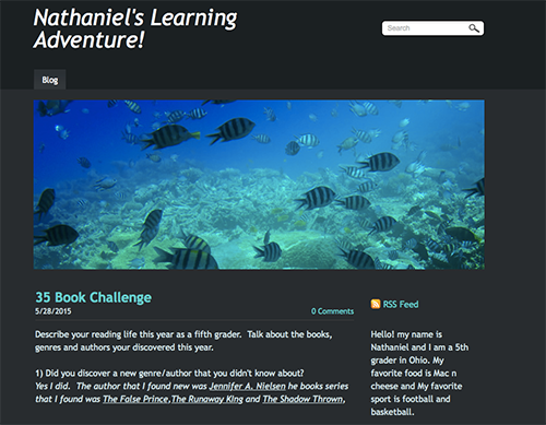 Screenshot of Nathaniel’s Digital Portfolio blog