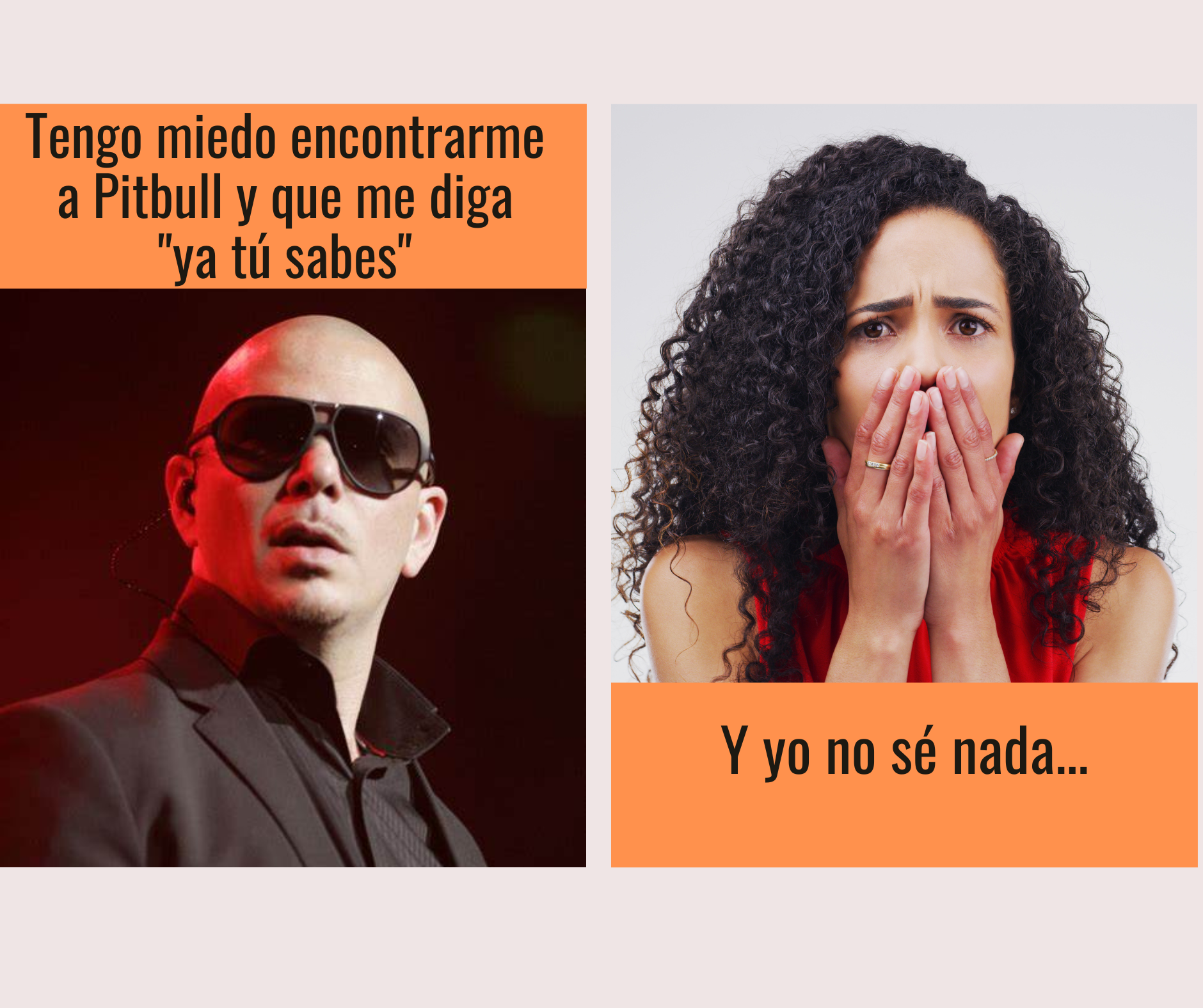 A meme. On one side there is a picture of singer Pit Bull. On the other side there is a picture of a woman with curly hair with an expression of surprise and her hands on her mouth.