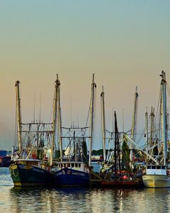 A photo of boats in a harbour.