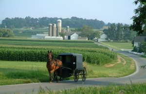 A photograph of a horse-drawn buggy in a rural area.