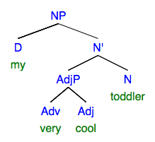 syntax tree: NP "my very cool toddler"