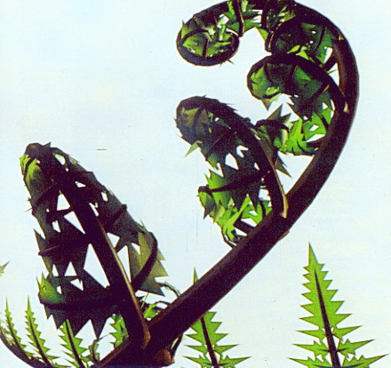 rendering of a plant
