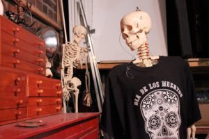 Plastic skeleton in a Día de los Muertos tee shirt.