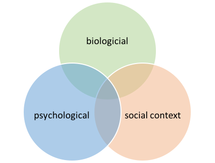 graphic showing how biological, psychological, and social context are connected