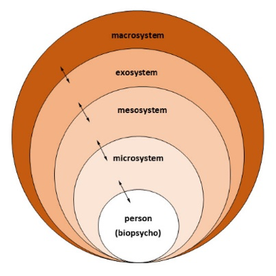 Diagram representing social ecological model’s multiple system levels