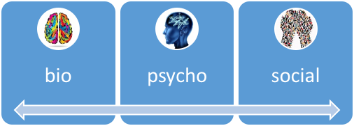 graphic of "bio, psycho, social"