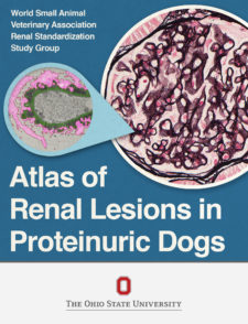 Atlas of Renal Lesions in Proteinuric Dogs book cover