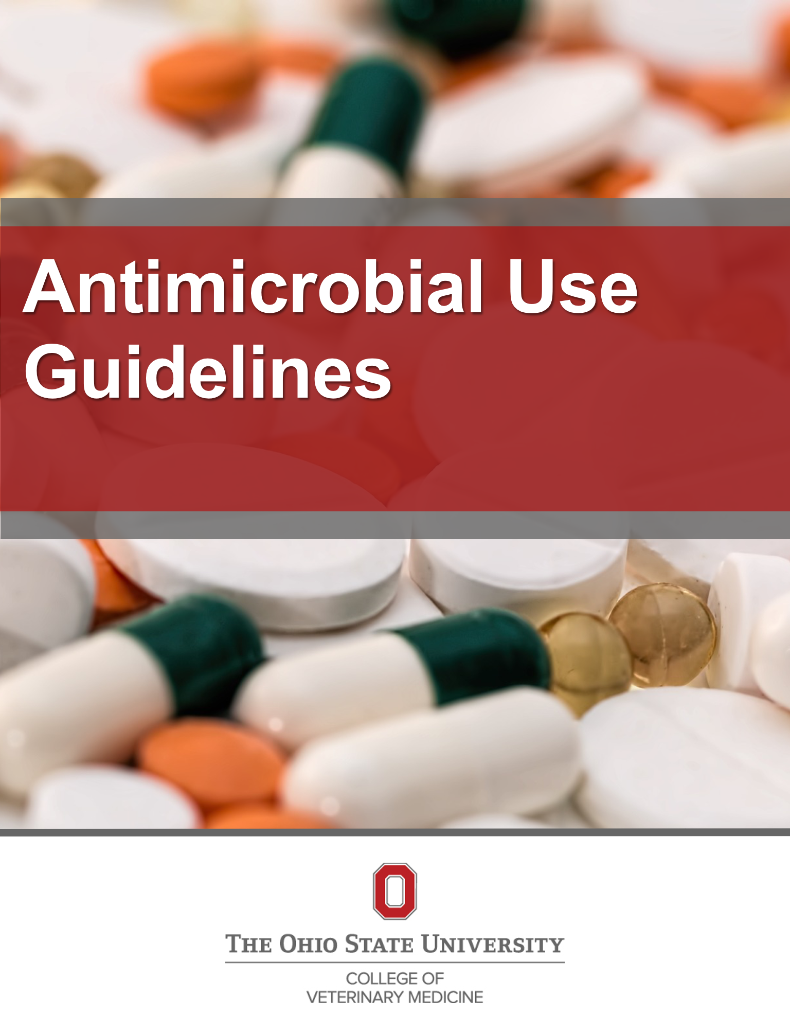 Cover image for OSU VMC Antimicrobial Use Guidelines
