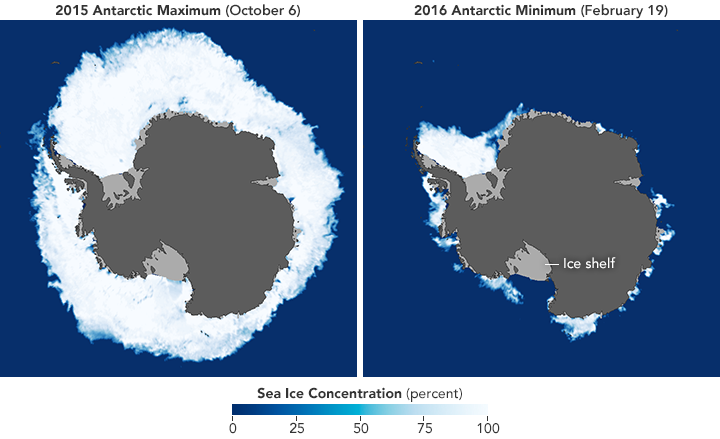 side by side comparison of sea ice concentraion of Antarctic in october vs. feburary (which has much less sea ice cover)