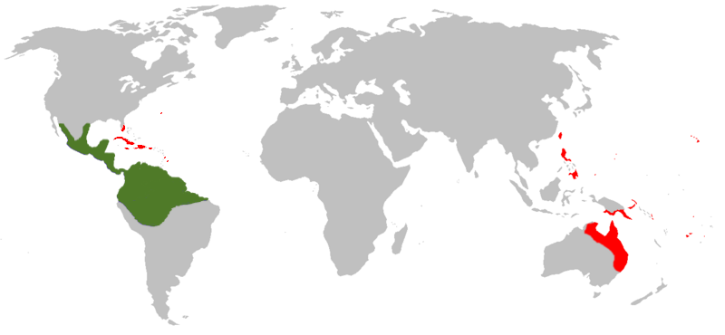 world map showing both native and introduced ranges of the cane toad in differing colors