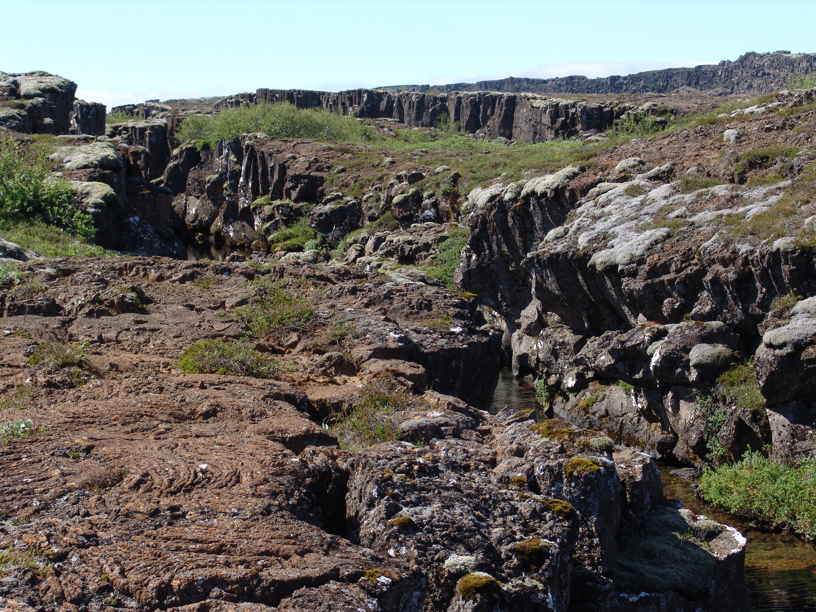 valley landscape in Iceland with a small creek running in the middle of the valley and eroded banks along the water. Moss and small vegetation covers the surface of the land.