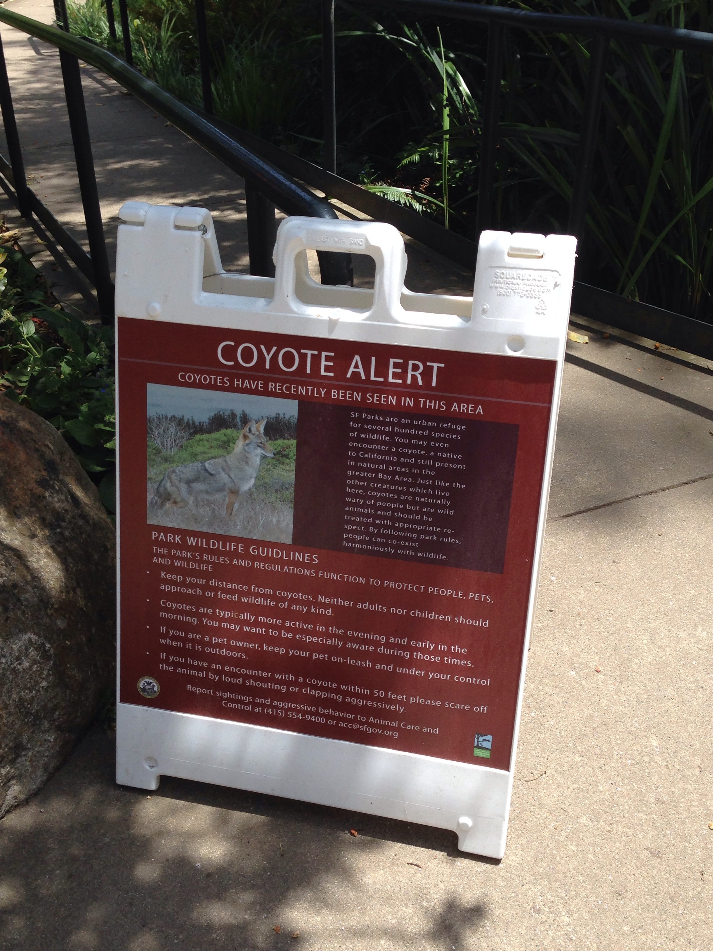 coyote alert sign on a sidewalk in the park