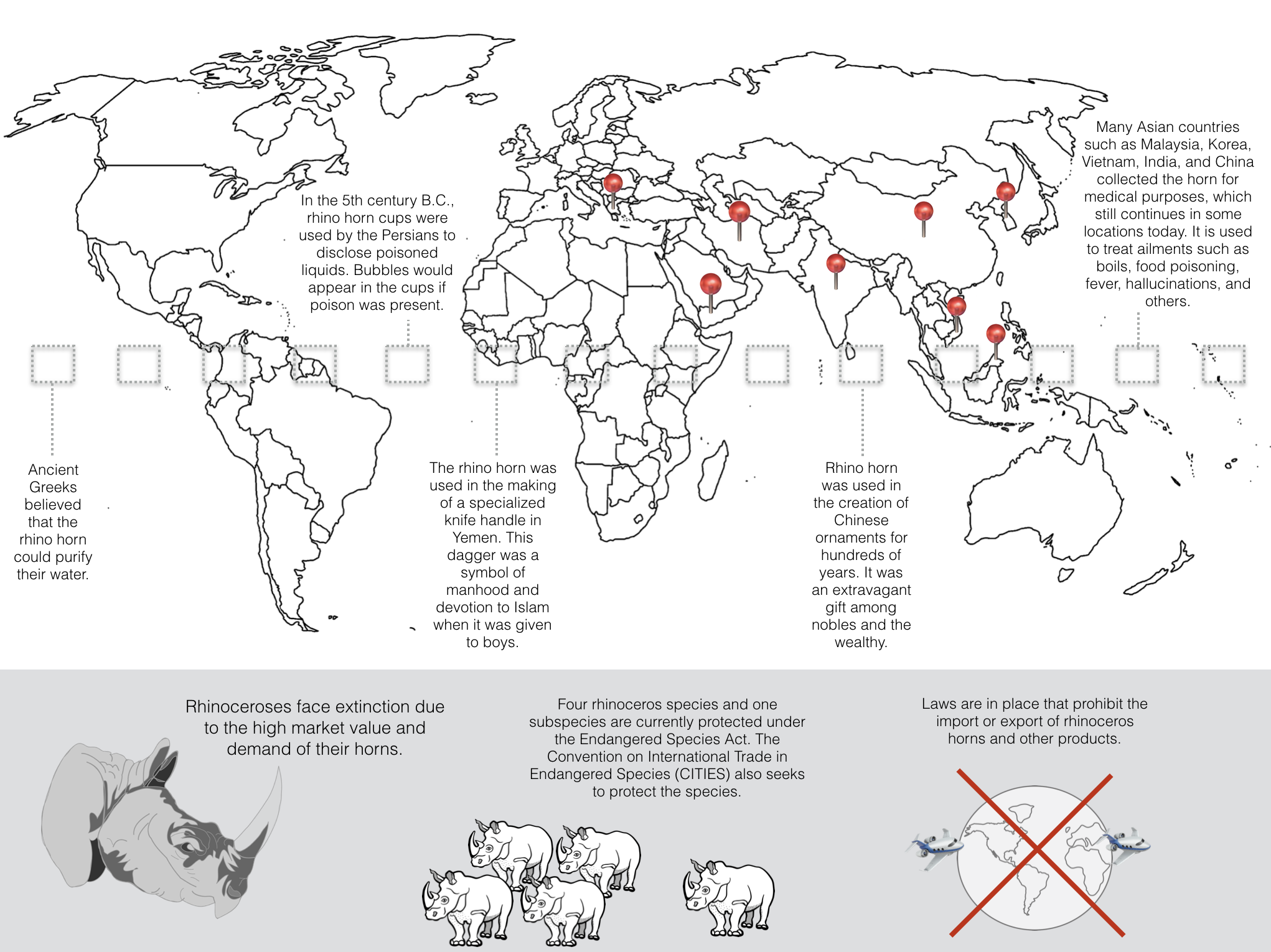 created graphic of a word map showing pins in countries across the world that still utilize rhino horn for various uses