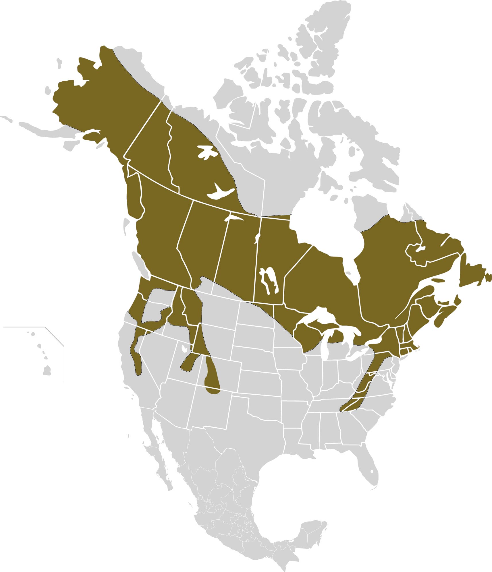 map of the United States and Canada with the range of the snowshoe hare highlighted in northern US and Canada