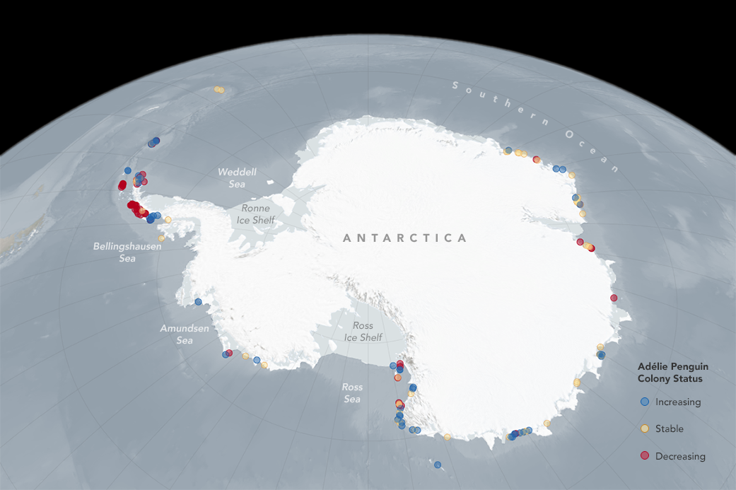 map of change in chick-rearing habitat suitability from 2011-2099 on Antarctica with small dots along the coastlines with varied color shades