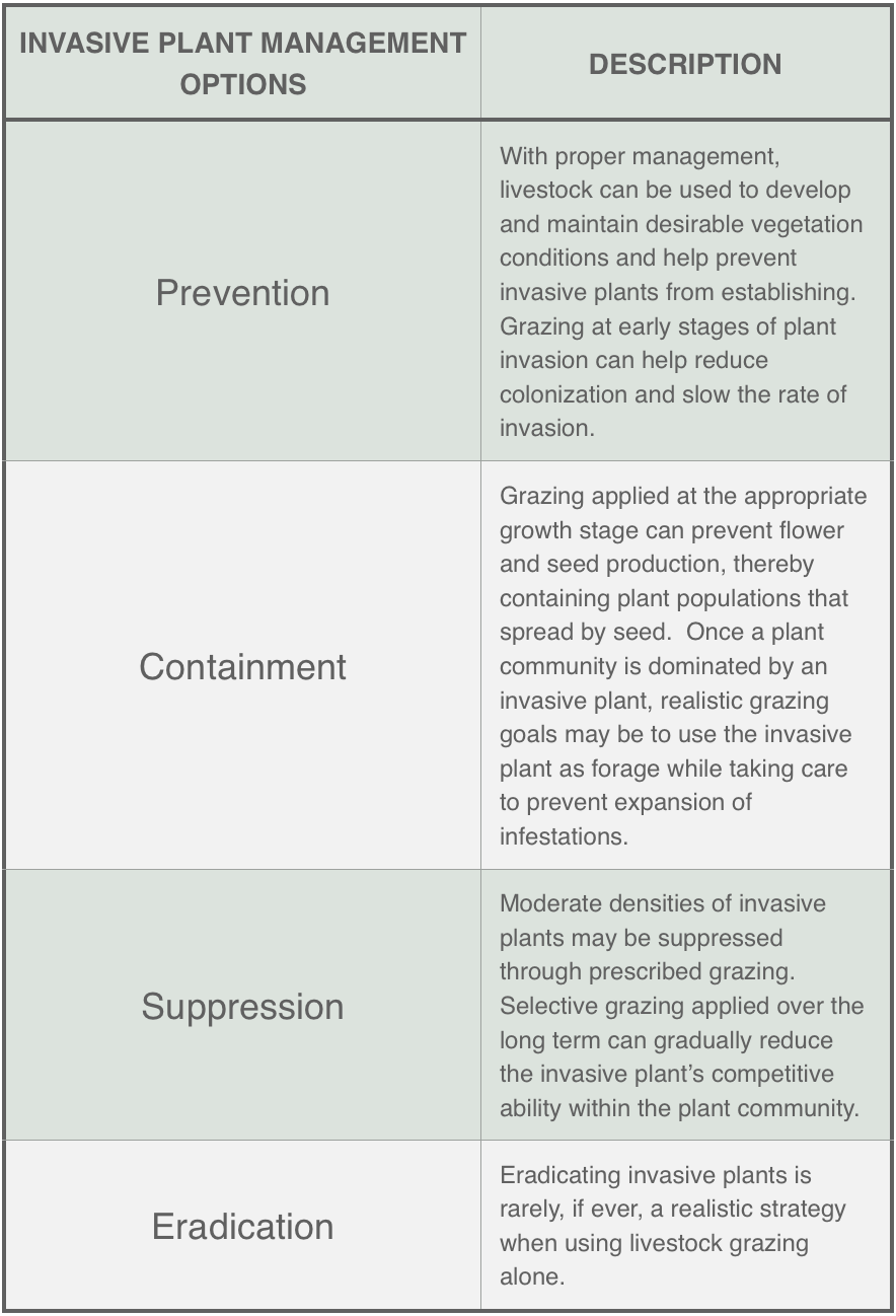 Invasive Species Chart