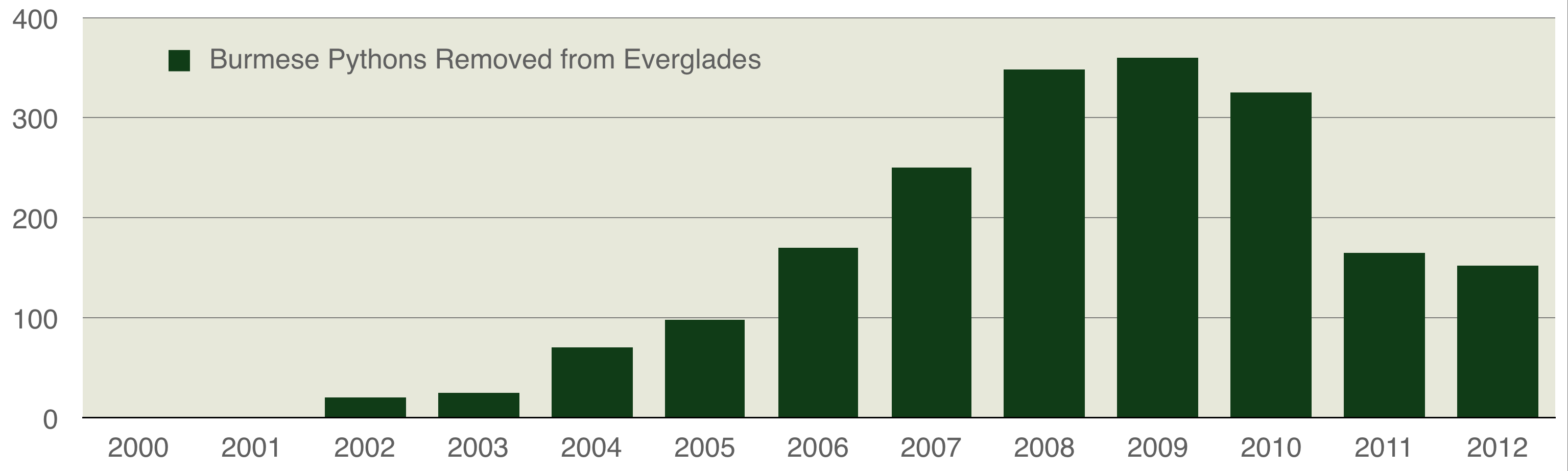 bar graph showing the number of pythons removed per year from the Florida Everglades with a peak in 2009