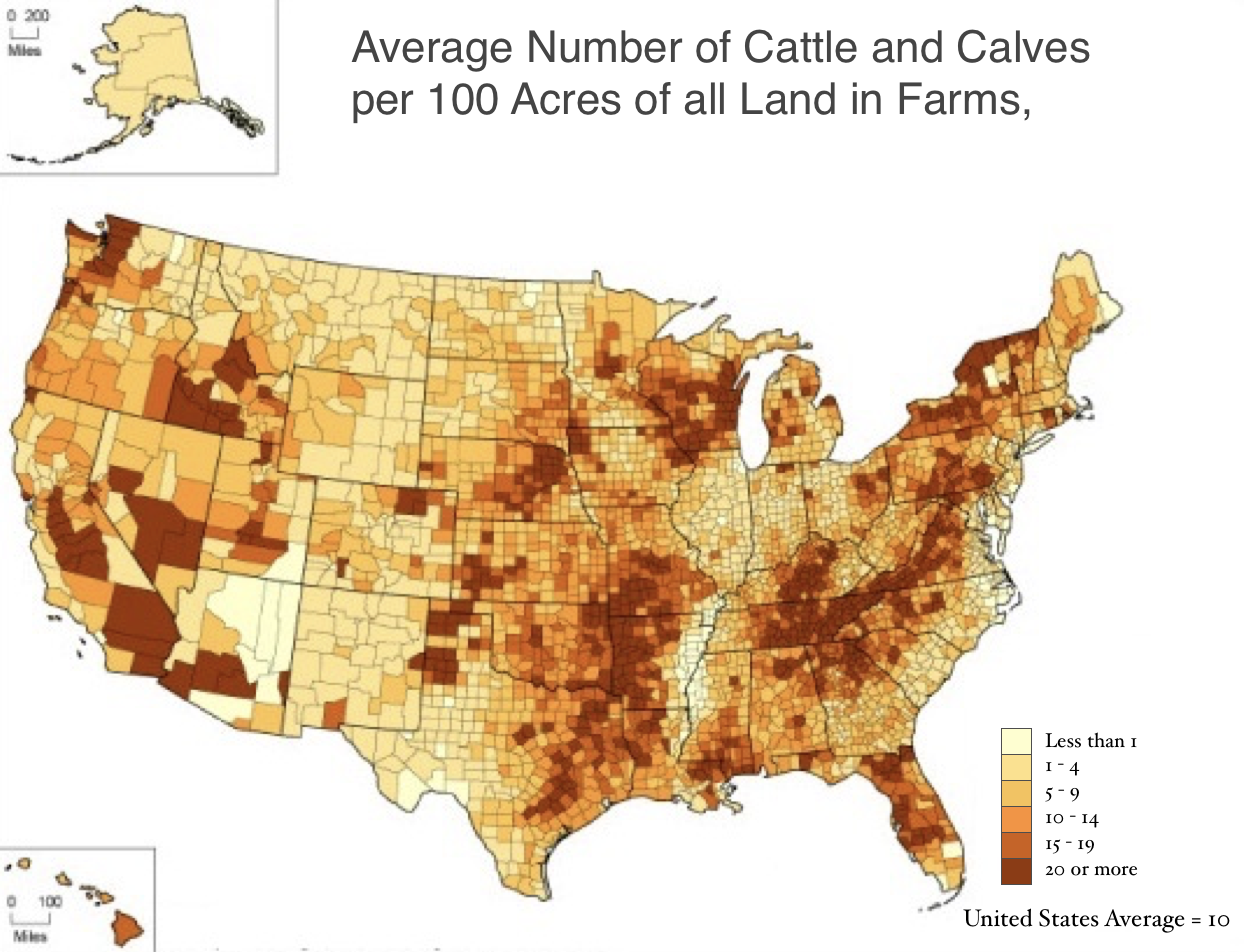 map of the United States with varying shades of color showing each county and the density of cattle and calves per 100 acres of land