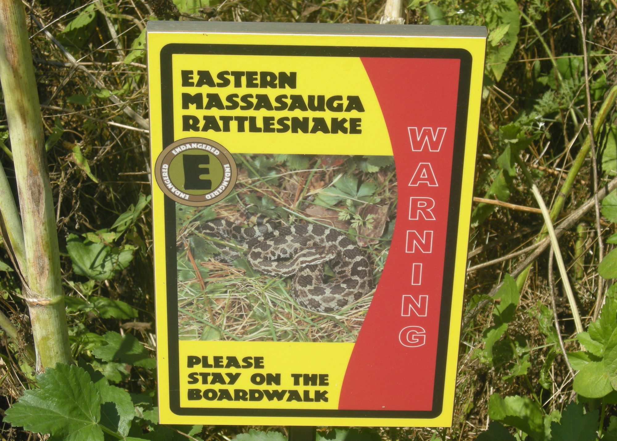 warning sign with an image of the massasauga and a warning to stay on the boardwalk