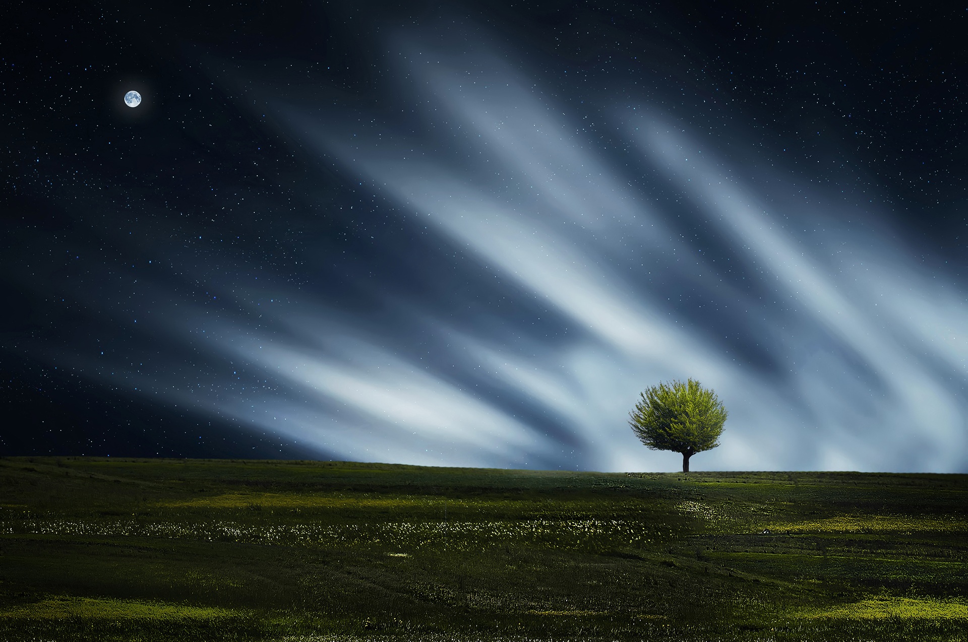 Tree in grassy valley under starry sky with moon and bright lights rising from Earth